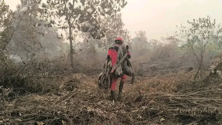 Ketika Asap Menjadi Panggung Monetisasi