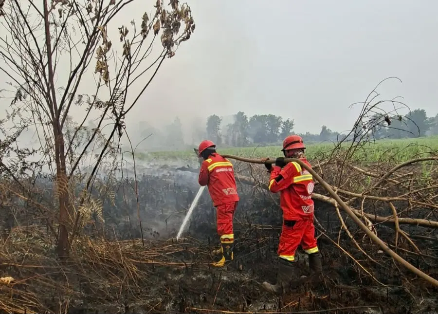Api yang Bersembunyi di Kedalaman Tanah