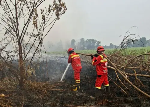 Api yang Bersembunyi di Kedalaman Tanah