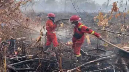 Stop Pembukaan Lahan dengan Cara Membakar!