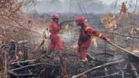 Stop Pembukaan Lahan dengan Cara Membakar!