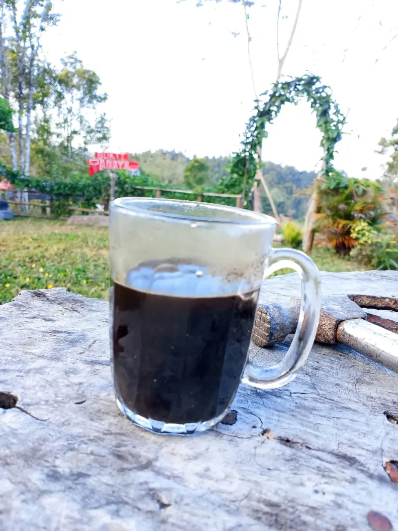 Batas Aman Minum Kopi,  Studi Ungkap Lima Gelas Kopi Sehari tanpa Gula Aman bagi Jantung