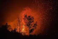 Karhutla Belum Padam, Pemerintah Justru Buka Lahan 2 Juta Ha untuk Target E20 2029