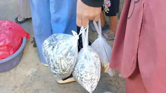 Menyorot Pergerakan Kantong Plastik di Pasar Borong Rappoa, Bulukumba