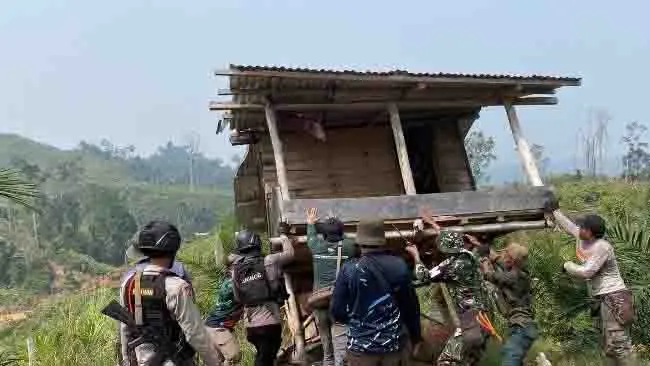Pulihkan Ruang Jelajah Gajah Sumatera, Kemenhut Amankan 300 Hektare Hutan Seblat