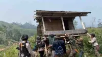 Pulihkan Ruang Jelajah Gajah Sumatera, Kemenhut Amankan 300 Hektare Hutan Seblat