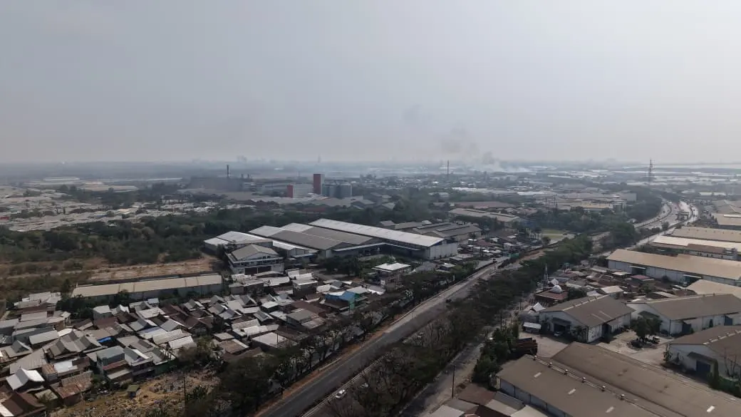 Dampak Karhutla Kalimantan Meluas ke Sulsel, WALHI Desak Presiden Prabowo Ambil Langkah Darurat