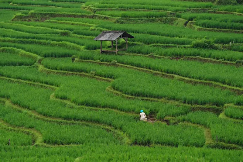 Menghubungkan Petani Asia Tenggara, Strategi ASEAN Membangun Pertanian Berkelanjutan