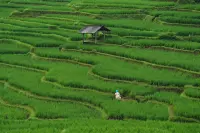 Menghubungkan Petani Asia Tenggara, Strategi ASEAN Membangun Pertanian Berkelanjutan