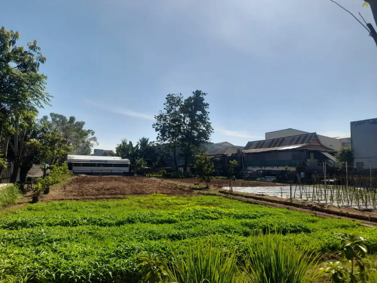 Tantangan Kemandirian Urban Farming Warga di Kota Makassar