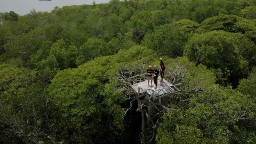 FOTO: Eksoktika Alam di Gonda Mangrove Park