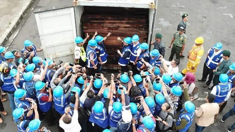 Lagi, Gakkum KLHK Amankan 384 kontainer Kayu Ilegal asal Papua Senilai Ratusan Milyar