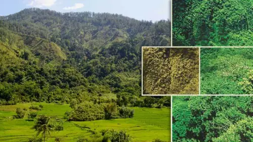 Menyongsong Kebangkitan Industri Perkayuan Nasional untuk Kesejahteraan Masyarakat