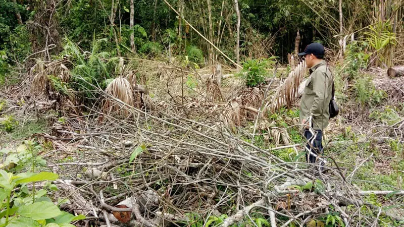 Waspada Kemarau Panjang 2019, KLHK akan Intensifkan Pengendalian Karhutla
