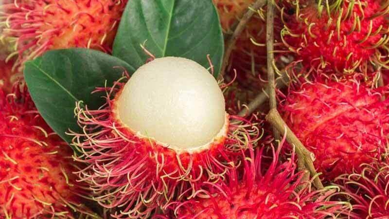 Ini Manfaat Jika Mengonsumsi Buah Rambutan