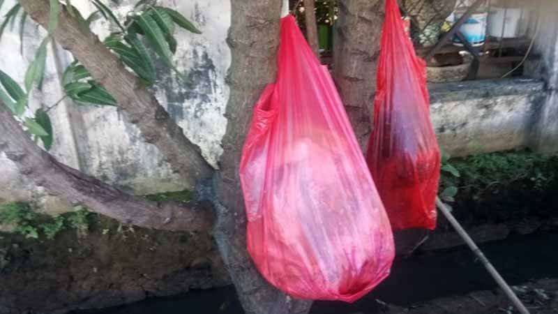 Hikayat Tentang Pohon yang Dipaku sebagai Bak Sampah