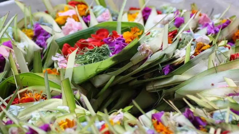 Dua Siswa di Bali Sulap Sampah Canang Jadi Sumber Listrik