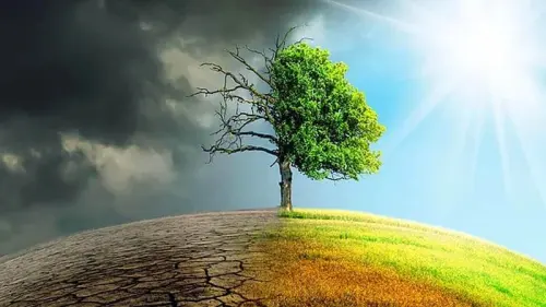 Hal-Hal Kecil Pemacu Global Warming, Salah Satunya Mungkin Sering Anda Lakukan