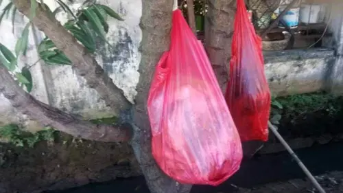 Hikayat Tentang Pohon yang Dipaku sebagai Bak Sampah