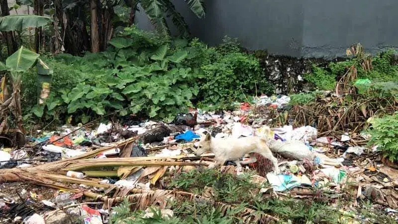Kabar Buruk Tentang Tempat Sampah  “Jadi-Jadian” di Makassar