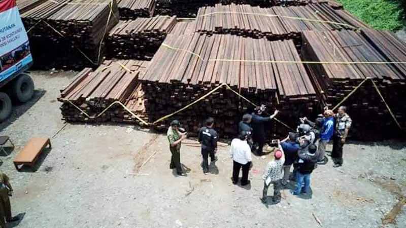 KLHK Kembali Amankan 38 Kontainer Kayu Ilegal Asal Kepulauan Aru
