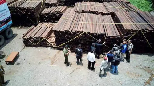 KLHK Kembali Amankan 38 Kontainer Kayu Ilegal Asal Kepulauan Aru