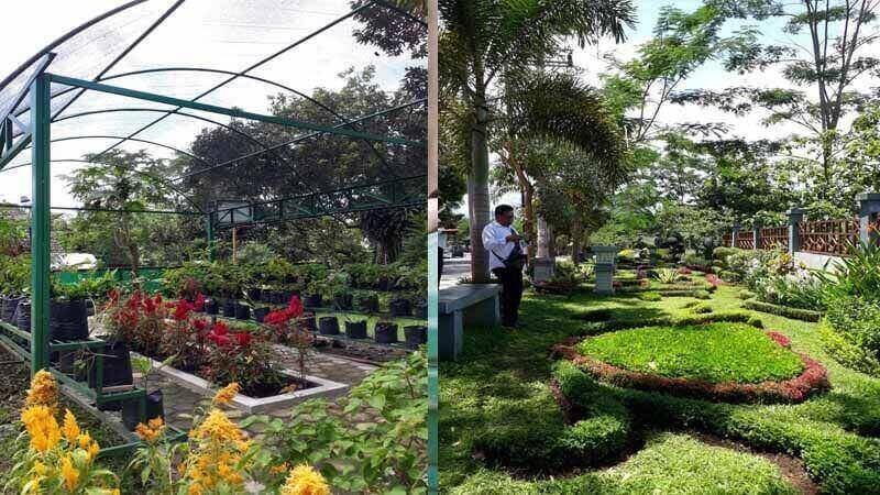 Menyejukkan Suasana Pasca Pemilu dengan Quotes Taman dari Para Tokoh Dunia