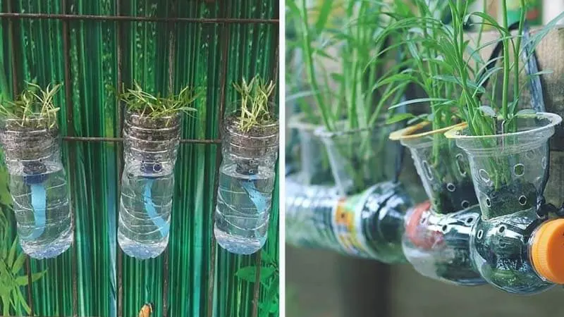 Memanfaatkan Sampah Botol Plastik Untuk Membuat Kebun Hidroponik, Ini Tipsnya!