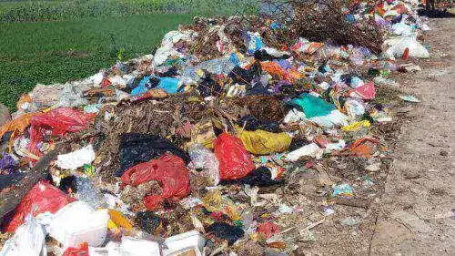 Pembuang Sampah Sembarangan di Depok Bakal Didenda dan Dipajang di Media Sosial