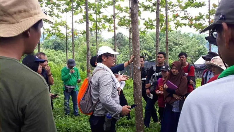 Pendugaan Cadangan Karbon, Tren Sisi Pandang Hutan Terkini