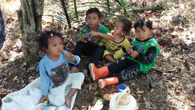 Bermain di Alam Bebas Bisa Meningkatkan Kemampuan Belajar Anak, Benarkah?