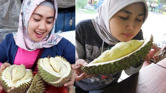 Pantas PT. Mitra Hijau Asia Bagikan Ratusan Bibit Durian, Ternyata Begini Manfaat Buahnya