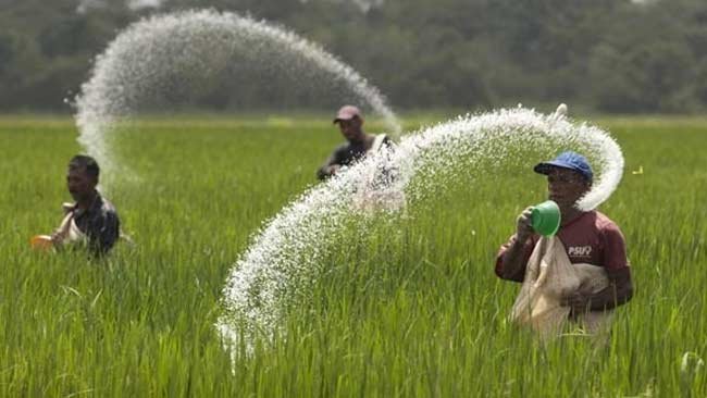 Perihal Polusi Nutrisi, Sumber, Dampak, dan Upaya mengatasinya