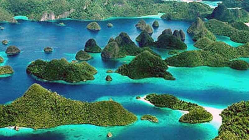 Menanti Komitmen Kemenhut  dalam Melindungi Kawasan Raja Ampat dari Kerusakan Hutan dan Lingkungan