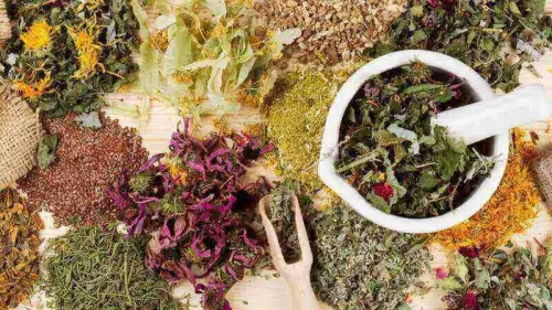 Ancaman Pengakuan Negara Tetangga  Mengintai Puluhan Ribu Tanaman Obat Indonesia