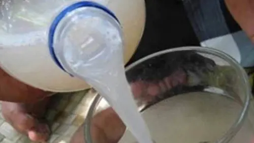 Ballo Tala Jeneponto akan Jadi Bahan Baku  Bioetanol