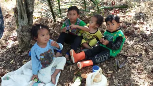 Bermain di Alam Bebas Bisa Meningkatkan Kemampuan Belajar Anak, Benarkah?