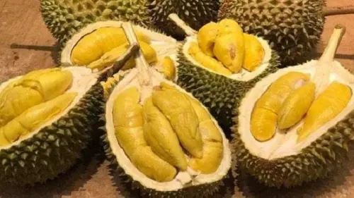Durian Bisa Picu Hipertensi, Mitos atau Fakta?