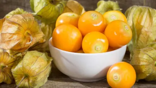 Manfaat Buah Ciplukan, dari Masalah Mulut hingga Tangkal Kanker