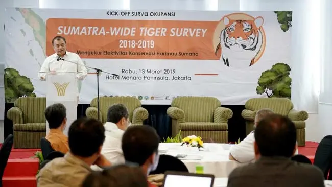 Tahap Kedua "Sumatera Wide Tiger Survey" Diluncurkan, Begini Target KLHK