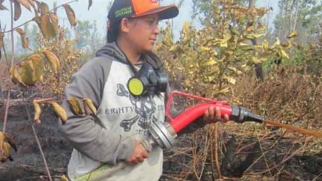 Tentang Ria, Perempuan yang Bertarung dalam Kobaran Api di Hutan
