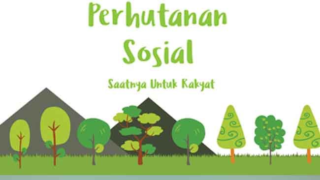 Perhutanan Sosial Mampu Keluarkan Masyarakat dari Jerat Kemiskinan, Benarkah?