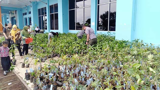 Sabrina Terkejut, Ada Ribuan Bibit Mangga Gratis di Pameran Indogreen