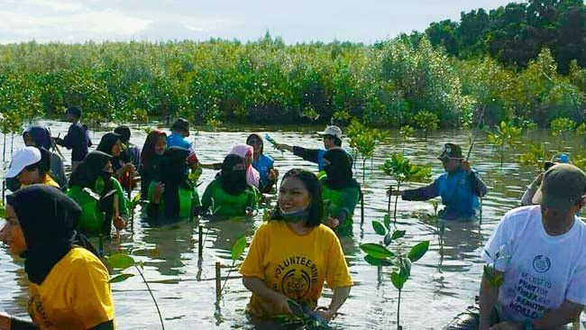 Rayakan Hari Bumi, Kalla Group Tanam 15.000 Pohon Mangrove di Kampung Nelayan Untia