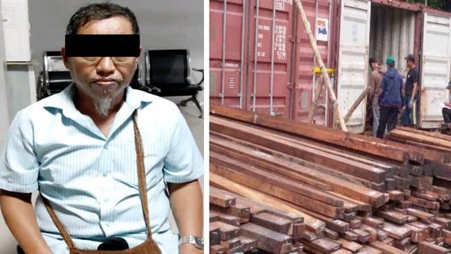 Terbaru, Penyidikan 4 perkara Kasus Kayu Ilegal Asal Papua Segera Disidangkan