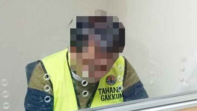 Pengadilan Jakarta Pusat Tolak Praperadilan Tersangka Pembalak Kayu Ilegal