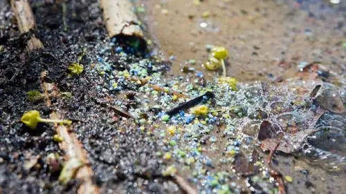 Hujan Mikroplastik Mengintai Kota-kota di Indonesia