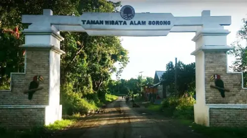 Jelajah Taman Wisata Alam Sorong, 4 Aktivitas Ini Bisa Membuat Anda Lupa Pulang