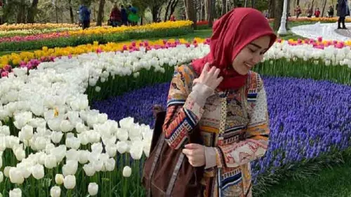 Kisah Bunga Tulip dan Ayu Ting Ting yang Terpesona Terhadapnya