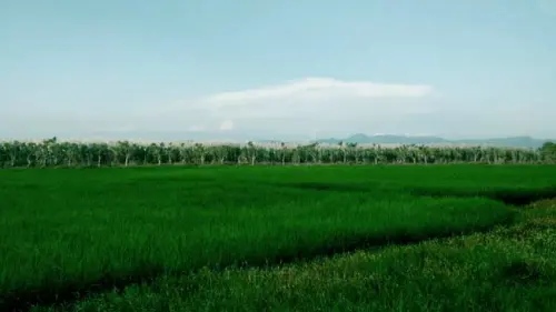 Pengelolaan Lingkungan Hidup Berkelanjutan dengan Perspektif Kebudayaan